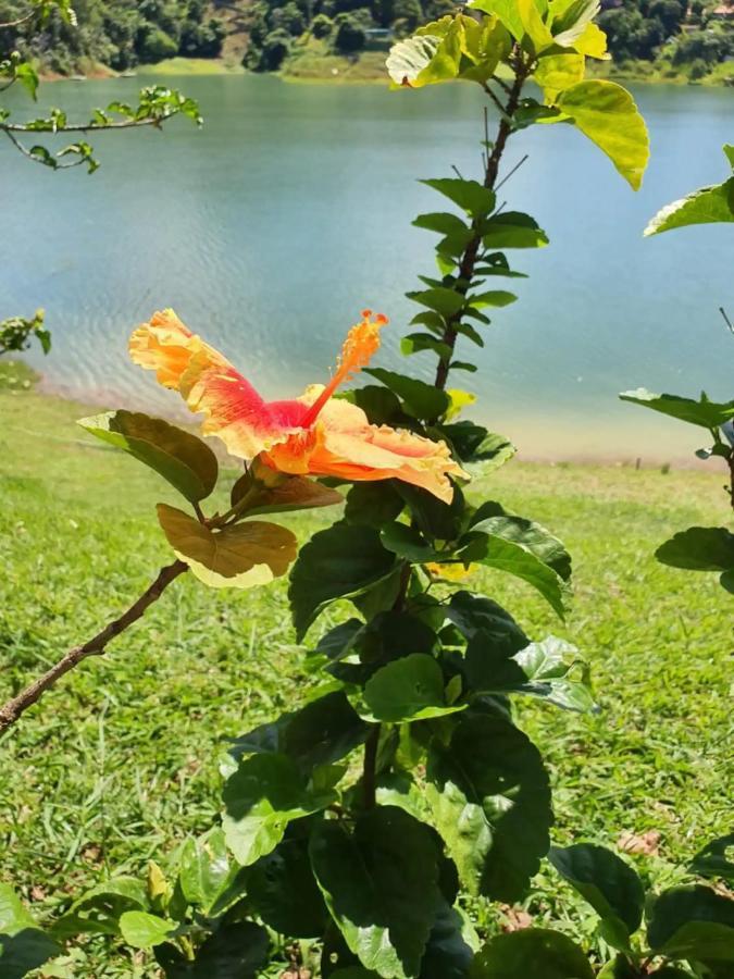 Maravilhoso Sitio Na Beira Da Represa Villa Igaratá Buitenkant foto